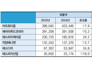 [경영분석] 2025년도 산업가스 관련기업 - 수소제조업체 견고했던 수소... - 뉴스 썸네일 이미지